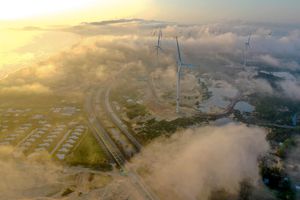 Đón bình minh trên 'cánh đồng quạt gió' ở Bình Định