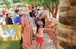 Bình Định đón hơn 155.000 lượt khách dịp Tết, tăng 40% so với cùng kỳ