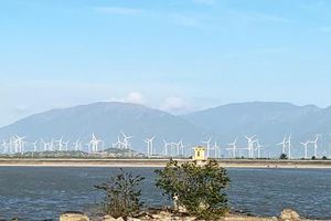 Những cánh đồng điện gió đẹp như tranh vẽ trên rừng, dưới biển