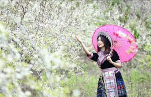 Muôn sắc hoa chào đón ngày Xuân