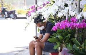 Cận Tết, chợ hoa xuân Đà Nẵng vắng người mua