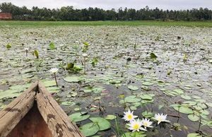 Đầm Bàu trong vẻ giản dị nguyên sơ