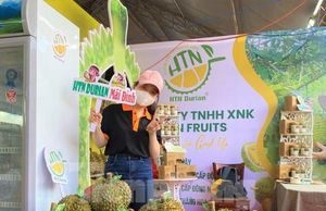 Du khách đổ về ‘thủ phủ sầu riêng’ xe nối đuôi dài cả cây số, khách thoải mái ăn tại vườn