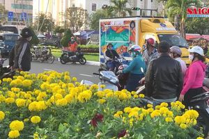 thumnail-468 Chợ hoa Đà Nẵng ngày cận Tết: giá tăng nhẹ, tấp nập bán mua