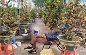 Cảnh hiếm có ở chợ hoa xuân lớn nhất Hà Nội ngày cận Tết