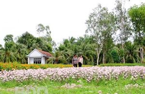 Nơi bốn mùa khoe sắc