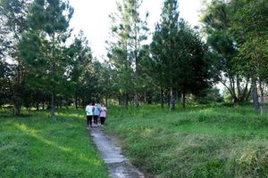 thumnail-494 Thư giãn trên đồi Lâm Viên