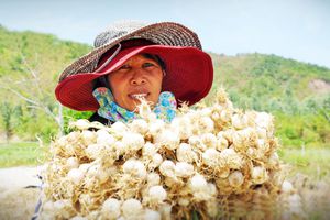 thumnail-528 Độc lạ OCOP miền Trung