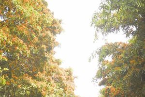 thumnail-546 Bình Định: Tìm hướng đi cho du lịch Vĩnh Thạnh