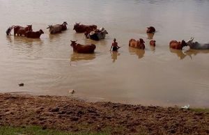 Sông Côn vẫn chảy một dòng lịch sử