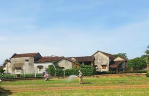 Làng rau hàng trăm năm tuổi hướng đến du lịch canh nông