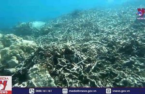 Tour du lịch Một hành trình, ba điểm đến