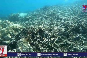 Tour du lịch Một hành trình, ba điểm đến