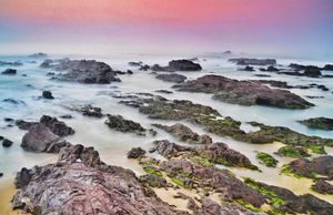 Ngắm vẻ đẹp nguyên sơ và thưởng thức hải sản ‘siêu chất’ ở gành đá Lộ Diêu, Bình Định