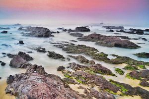 thumnail-596 Ngắm vẻ đẹp nguyên sơ và thưởng thức hải sản 'siêu chất' ở gành đá Lộ Diêu, Bình Định