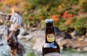 Uống bia, ăn cá nướng giữa rừng thu lá đỏ Nhật Bản