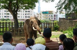 Thành phố Hồ Chí Minh mở cửa nhiều điểm tham quan, du lịch