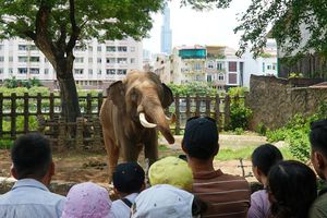 thumnail-600 Thành phố Hồ Chí Minh mở cửa nhiều điểm tham quan, du lịch