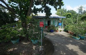 Một ngày trải nghiệm tour đường sông câu cá sấu ở Cần Giờ