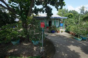 Một ngày trải nghiệm tour đường sông câu cá sấu ở Cần Giờ