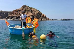 Bình Định: Phục hồi hệ sinh thái rạn san hô, phát triển du lịch biển