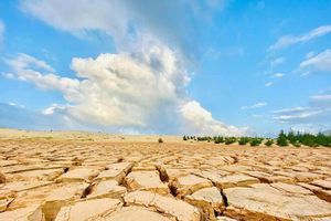 thumnail-634 Phát hiện chốn sống ảo 'Sa mạc đất nứt' mới, vừa độc vừa đẹp ngay tại Việt Nam