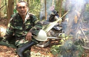 Người ở biển lên núi trồng rừng