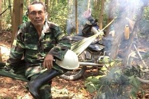 Người ở biển lên núi trồng rừng