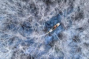 Việt Nam thắng giải trong cuộc thi ảnh nhiều người tham dự nhất thế giới