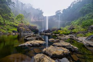 Khám phá ‘nàng tiên’ của rừng thiêng