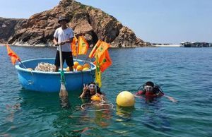 Phục hồi hệ sinh thái rạn san hô tại vịnh Quy Nhơn