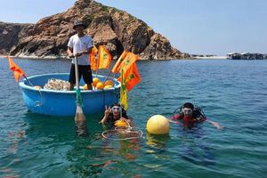Phục hồi hệ sinh thái rạn san hô tại vịnh Quy Nhơn