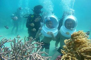 thumnail-692 Phục hồi rạn san hô, phát triển du lịch biển