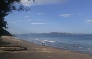 Tới Quy Hòa dạo vườn nhân ái