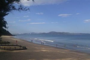 thumnail-698 Tới Quy Hòa dạo vườn nhân ái