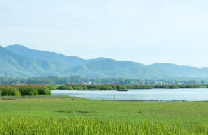 Đầm Trà Ổ tĩnh lặng một sớm mai