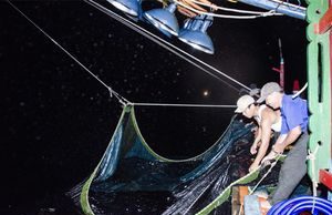 Phiên cá cơm cuối mùa