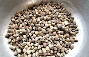 Mắm sút – ăn cả đại dương thu nhỏ