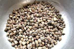 Mắm sút – ăn cả đại dương thu nhỏ