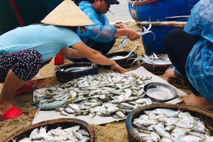 Nhớ bến sông, nhớ những ‘bà rẩu’ bán cá siêu liều ở quê