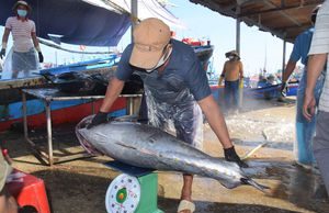 Bình Định: Những chuyến biển xuyên Tết trở về thắng lợi