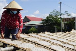 Làng nghề bánh tráng vào mùa Tết