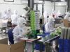 Bánh dừa ‘made in Đà Nẵng’ xuất ngoại