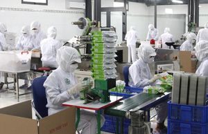 Bánh dừa ‘made in Đà Nẵng’ xuất ngoại