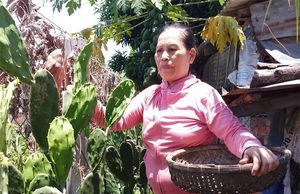 Lưỡi long làng chài đi… tây