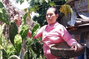 Lưỡi long làng chài đi… tây