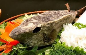 Loạt đặc sản cá ngon khi tới Quy Nhơn, Phú Yên