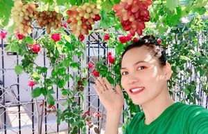 Người phụ nữ ở TP.HCM trồng nho, dưa trĩu quả trên sân thượng