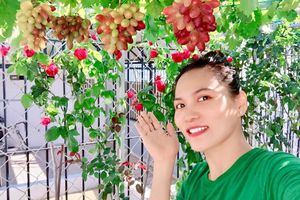 Người phụ nữ ở TP.HCM trồng nho, dưa trĩu quả trên sân thượng