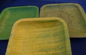 Đồ ăn đựng bát đĩa lá chuối khô, chơi tranh lá sen chục triệu đồng